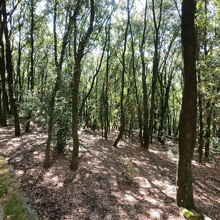 Apartment Umbria In Bici