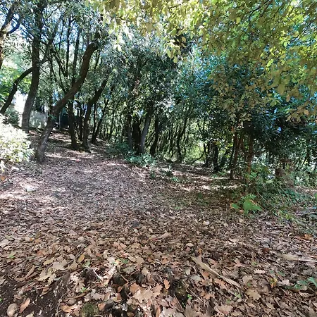 Umbria In Bici