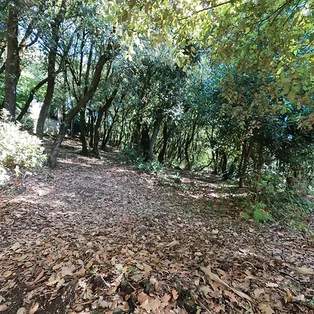 Umbria In Bici Apartment Perugia