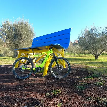 Umbria In Bici *