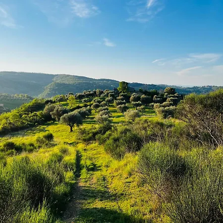 Apartment Umbria In Bici *