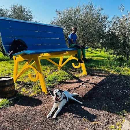 Umbria In Bici