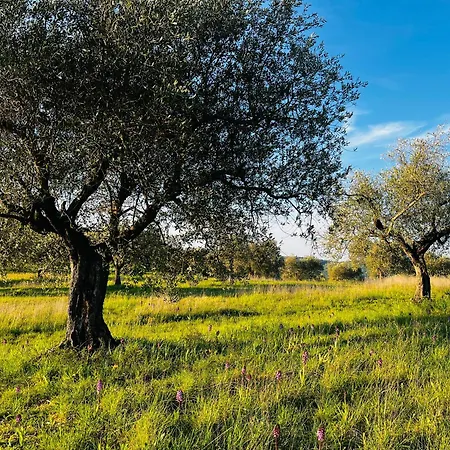 Apartment Umbria In Bici *