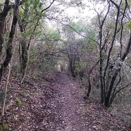 Umbria In Bici Perugia