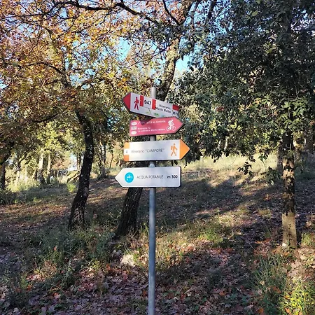 Apartment Umbria In Bici