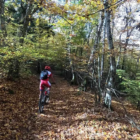 Umbria In Bici Apartment