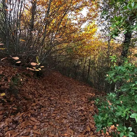 Apartment Umbria In Bici *