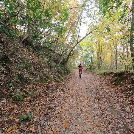 Apartment Umbria In Bici Perugia